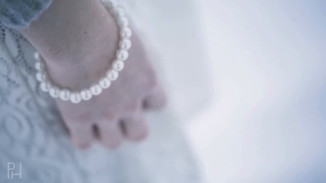 Down by the Salley Gardens - Peter Hollens смотреть онлайн