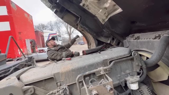 Как отходила зиму липучка. смотреть онлайн