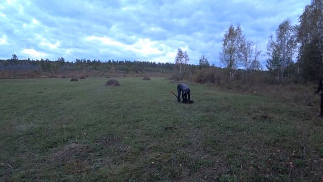 3 часа на металлокоп смотреть онлайн