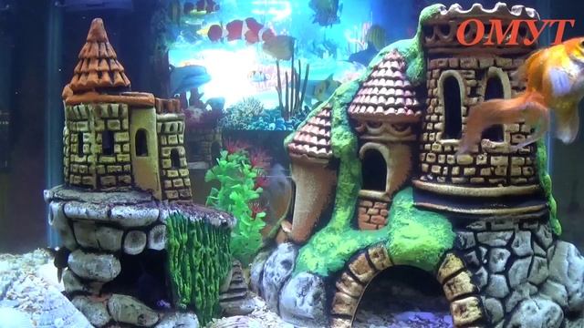 379. ПРИМЕТЫ ПО СНАМ И НЕ ТОЛЬКО...(3-ЧАСТЬ) смотреть онлайн