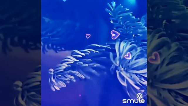 За синими туманами🌅💟🌊🌅☁️🌊💟🌅#смуле#кавер#бучинская# смотреть онлайн