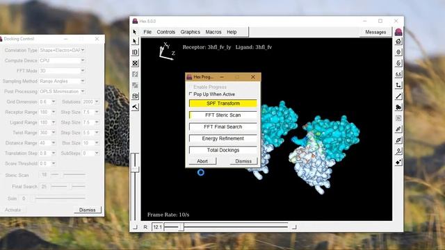 Molecular Docking with Hex 8.0.0 Part 2/3 смотреть онлайн