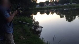 ЛОВЛЯ КАРПА НА ПРУДУ -Как поймать карпа
