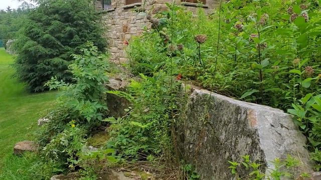 Stone Wall Clean Up - Part 1 - DIY Clean Up on my Boulder Wall - Garden Wall Makeover - Vine Remova смотреть онлайн