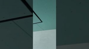 Монтаж магнитного трекового профиля "ST LUCE"  с щелевой подсветкой 2