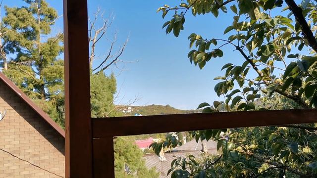 Сочи. Горное Лоо. Вечер. +30°C. 25. 08.2023г.© смотреть онлайн