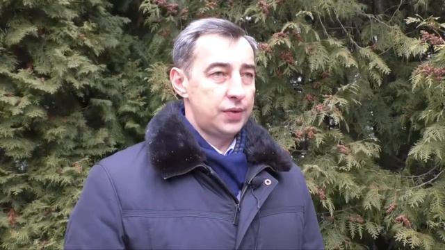 Как в Курчатове обстоят дела с бездомными животными? смотреть онлайн