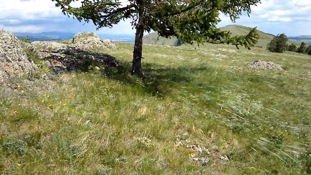 Праздник социопата смотреть онлайн