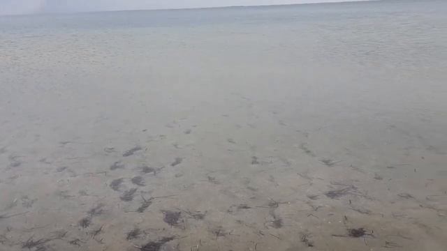 По дороге со Скадовска в Железный порт , остановка у моря . #море #отдых #красота смотреть онлайн