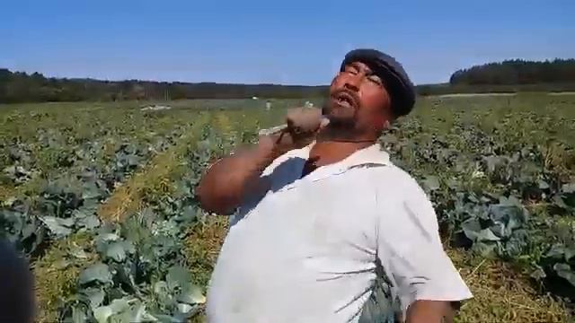 Узбекский Джими смотреть онлайн