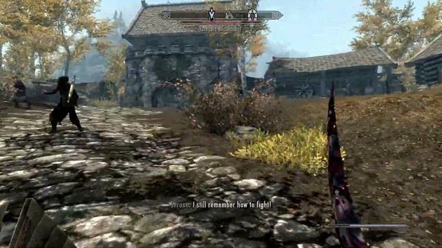 Pro Plays with Ather - Skyrim: Legendary Difficulty - Episode 102 (How to spot a vampire) смотреть онлайн