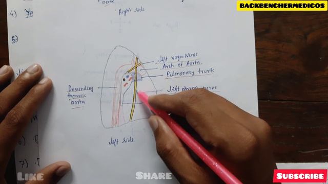 How to write Anatomy s Answer in University Exam | points to remember while labeling Diagrams смотреть онлайн