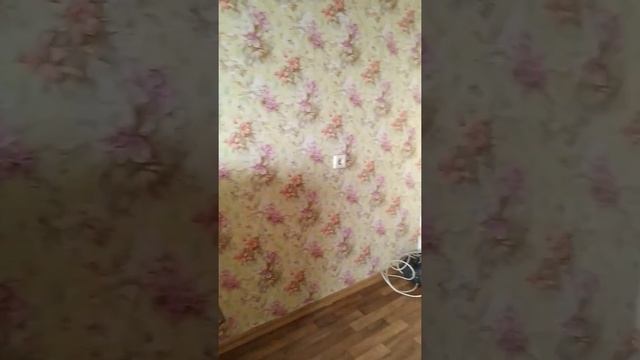 Комната Забалуева 55; ЖК Чистая Слобода; Ленинский р-он |Снять комнату в Новосибирске смотреть онлайн
