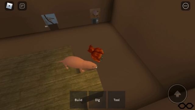 Roblox cheese escape... смотреть онлайн