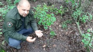 Ловушка для зайца, добыча попадается всегда