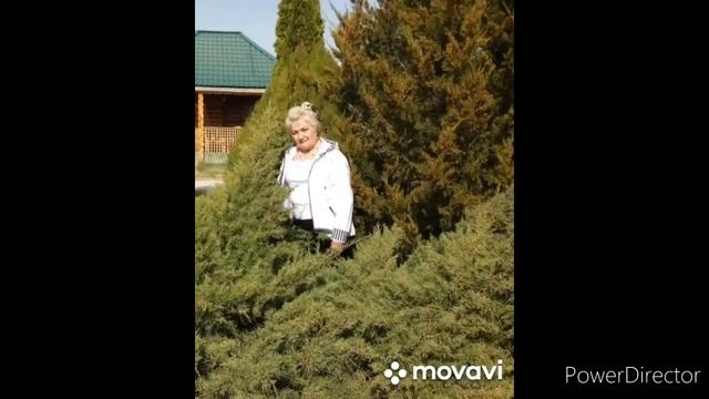 #АВТОРСКАЯ. делал в 2021 году на день мамочек. МАМА ПРОСТИ МЕНЯ ЗА ВСЕ ЧТО БЫЛО??? смотреть онлайн