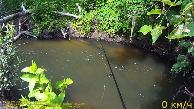 Рыбалка на речке. смотреть онлайн