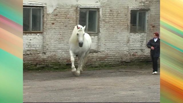 Часть -3 С любовью к Родине своей смотреть онлайн