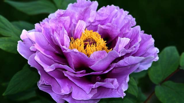 Самые хорошие русские песни и фото - класс!