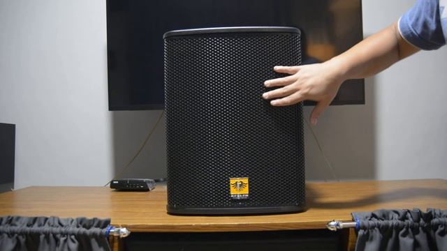 Kevler KR310 Speaker Unboxing смотреть онлайн