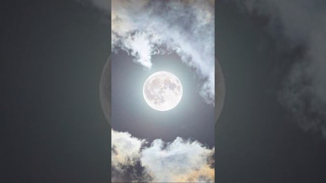 ОСОБЕННОСТИ ФОРМЫ ЛУНЫ смотреть онлайн