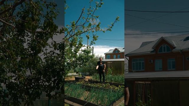 Какой урожай можно вырастить на высоких грядках из ДПК? смотреть онлайн