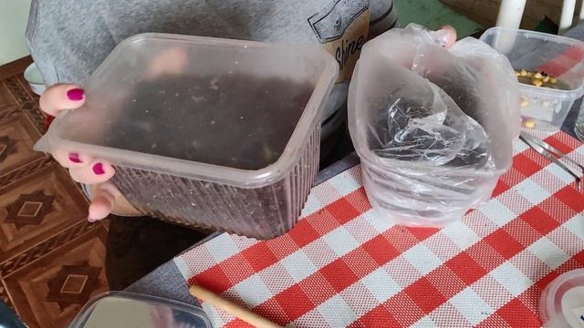 Дела огородные. Посадка пророщенных семян. Кукуруза, огурцы, дыни и арбузы.