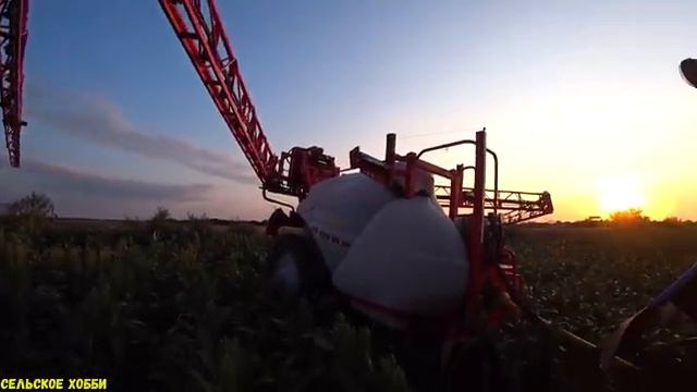 Совка на Белом Зерновом Сорго/Опрыскивание Сорго от Совки/Защита Белого зернового Сорго. смотреть онлайн