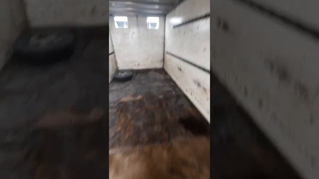 сатылады ағайын арзан Ивеко еврокарго 1995 тел 87777433030 смотреть онлайн