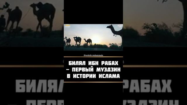 БИЛАЛ ИБН РАБАХ ДА БУДЕТ ДОВОЛЕН ТОБОЙ АЛЛАХ 😢😢 смотреть онлайн