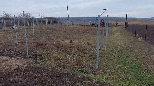 Реконструкция участка. Теплицы и новая культура смотреть онлайн