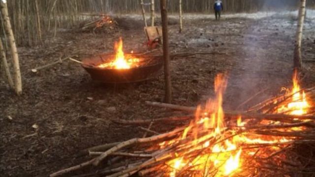 С нуля. Расчистка участка. День 5й. смотреть онлайн