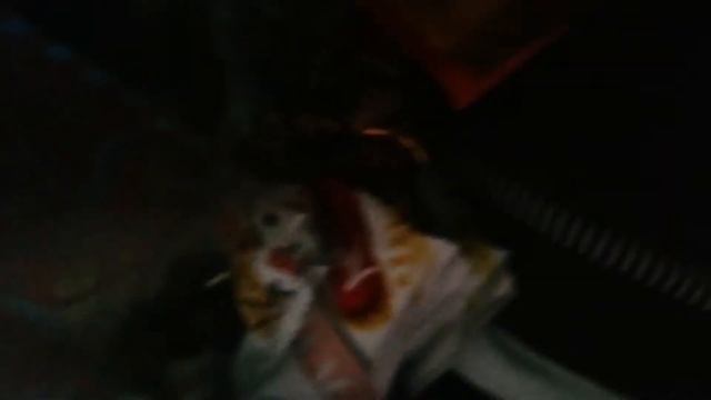 Camp VLOGS / 2 день / ОСВОЕНИЕ В Лагере // #2 смотреть онлайн