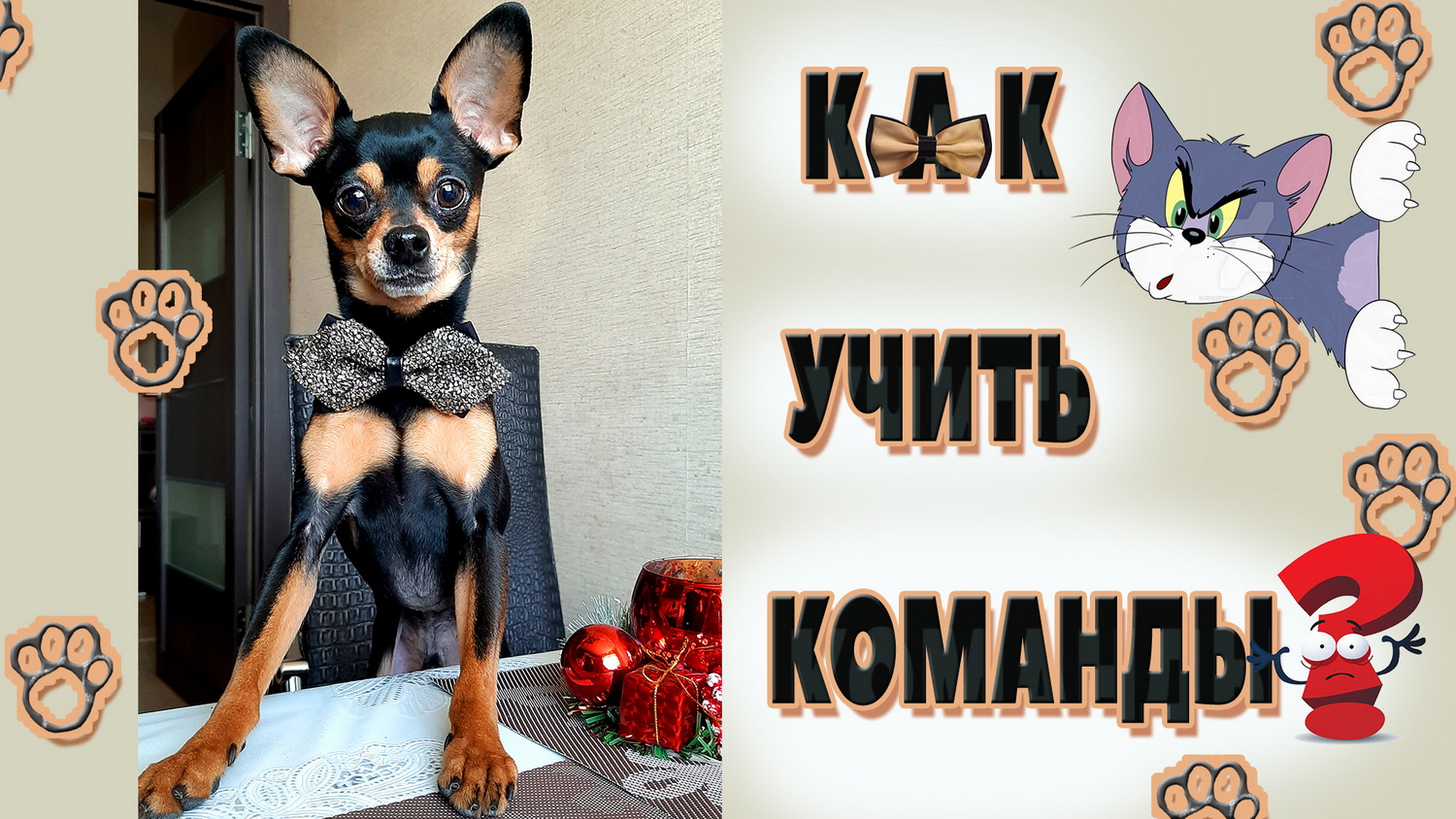 Как научить собаку командам. Простые команды.Часть 1 смотреть онлайн