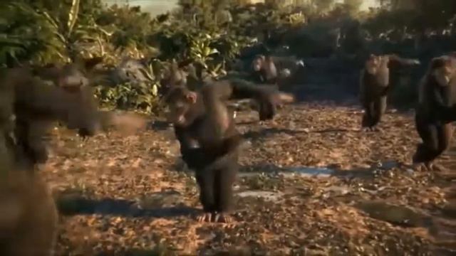 Monke terraria смотреть онлайн