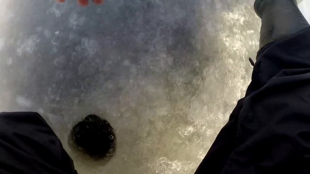 Попал на КЛЁВ ПЛОТВЫ смотреть онлайн