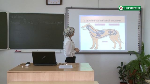 УРОК БИЛОГИИ 7 КЛАСС КЛАСС МЛЕКОПИТАЮЩИЕ смотреть онлайн