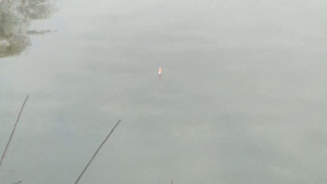 Поплавочная рыбалка в октябре. Готовим картошку на костре. смотреть онлайн