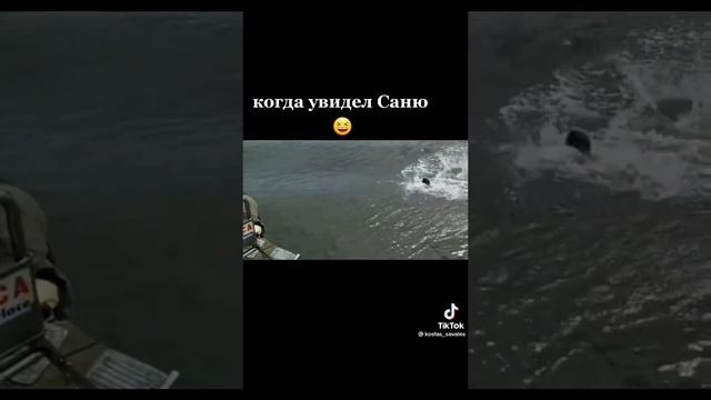 когда увидел саню смотреть онлайн