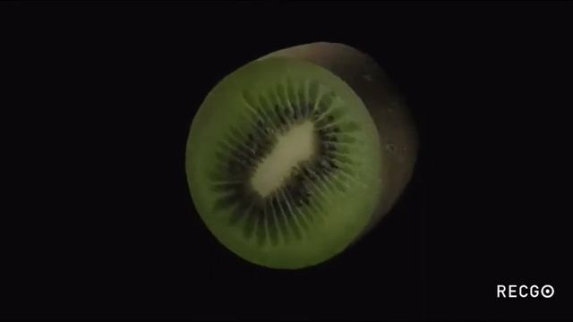 Course 2. Lesson 10. English For Kids With Monkey Junior.