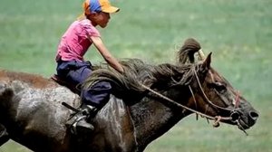 Порода лошади. Монгольская порода лошади.Одни из самых маленьких лошадей с короткими ногами