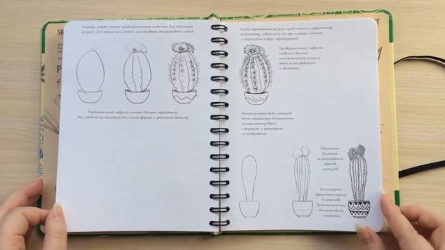 Sketchbook. Рисуем Цветы. Экспресс-Курс | Быстрый Обзор смотреть онлайн