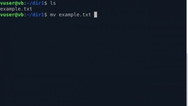 Переименовать файл команда MV, Linux terminal