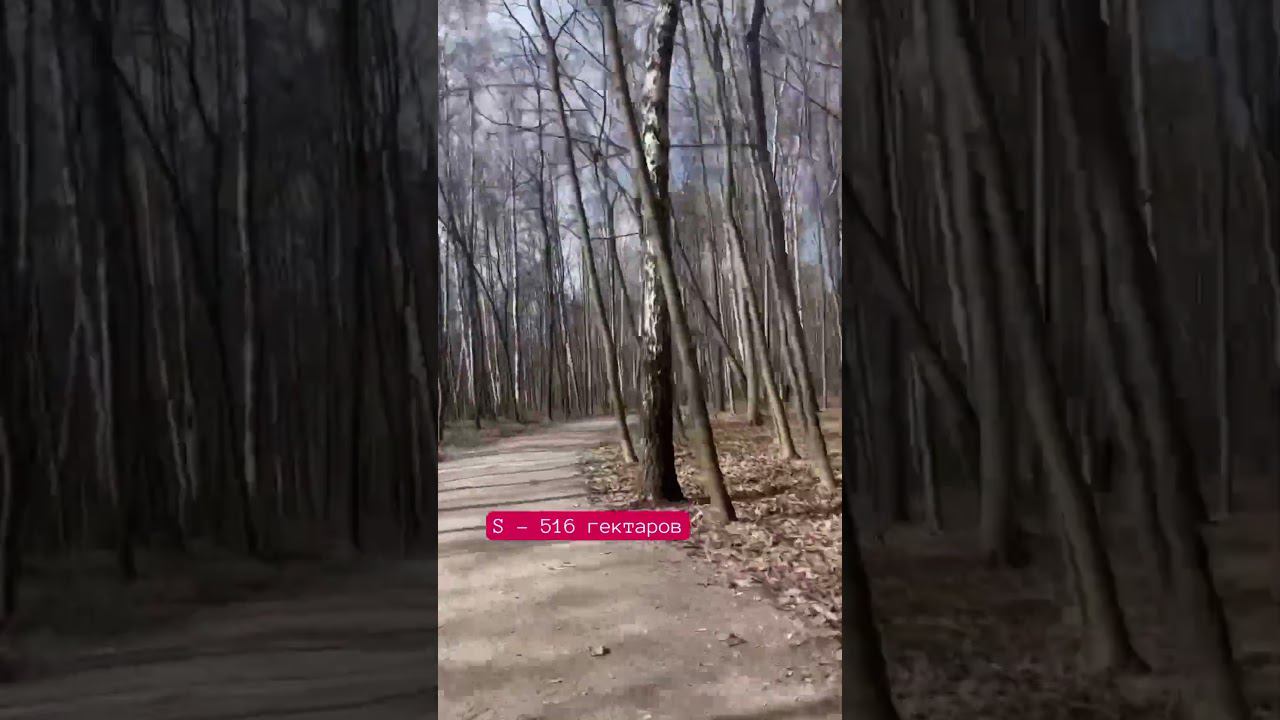 Парк Сокольники / Апрель / Москва смотреть онлайн