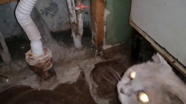Прорвало трубы. Просто жесть. Меняем очень старую мойку на кухне. смотреть онлайн