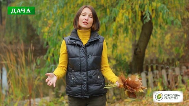?Уборка листьев в саду - нужно ли убирать, когда и как использовать? смотреть онлайн