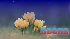 Футаж. Весна 31