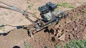 Пашем поле мотоблоком Урал с китайским двигателём.