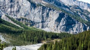 ВОЗДЕРЖАНИЕ 45 дней. Мои результаты. Польза воздержания.