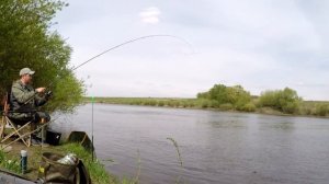 Рыбалка на фидер весной на реке Дон. Ловля густеры на Дону в Липецкой области.